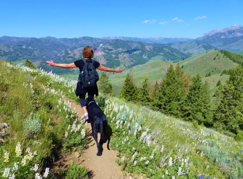 dog friendly hiking trails
