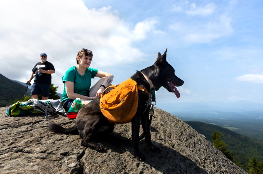 hiking with dogs tips