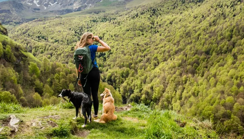 dog hiking gear