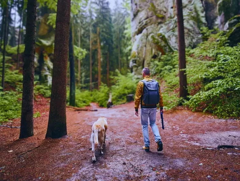 hiking with dogs tips